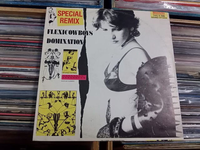 Flexi Cowboys – Domination (Special Remix)