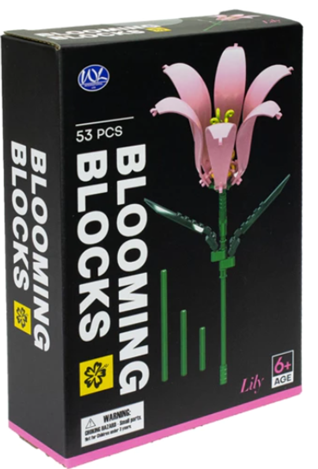 Blooming Blocks ehitusklotsid (6 erinevat)