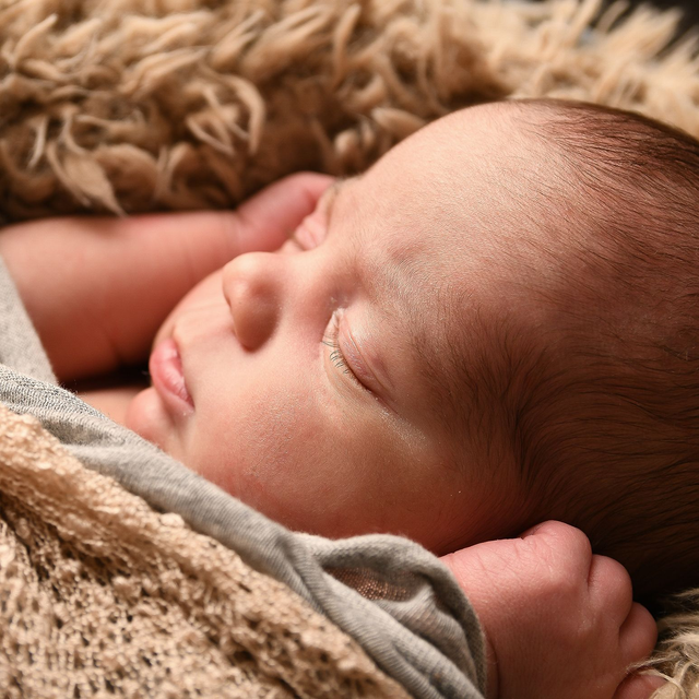 Newborn Shooting • Shootingpaket Gänseblümchen - Wertgutschein