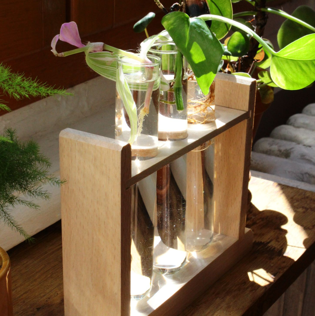 Station de bouturage TRIO