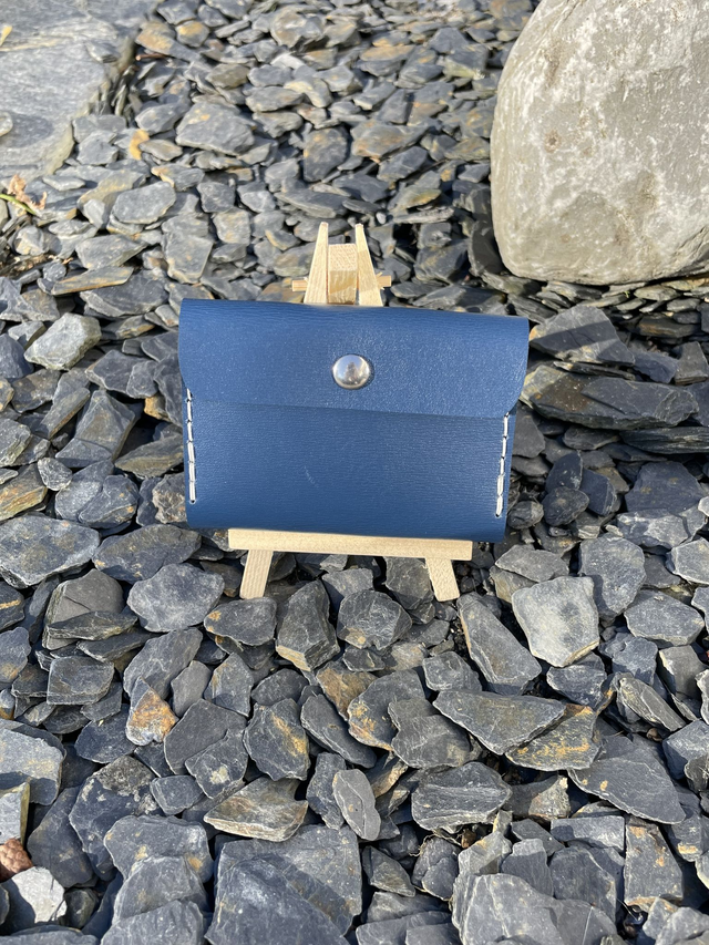 Porte-cartes/porte-monnaie bleu fantaisie