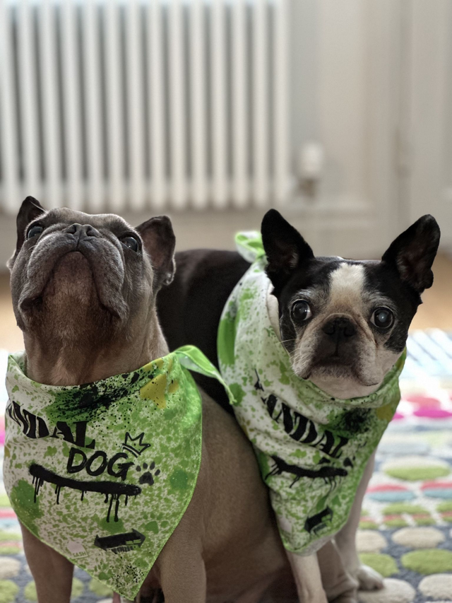 VANDAL DOG Bandana for Dogs by SASH