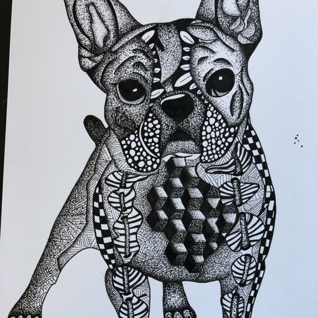 Chien Bouledogue français - 23 x 32 cm - encadrement noir 
