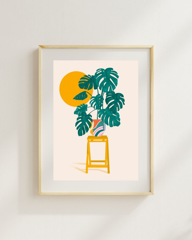 Monstera & the sun