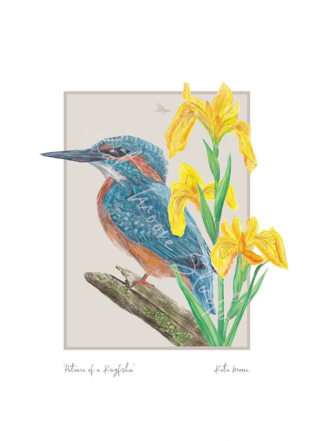 Patience of a Kingfisher