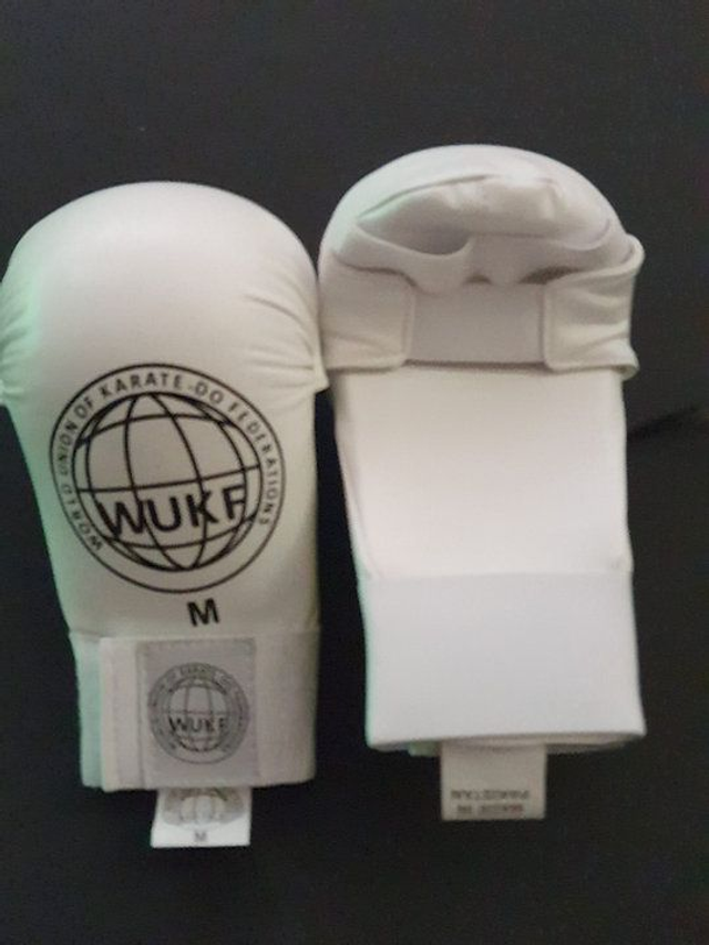 Sanbon Mitts (great for club sessions)