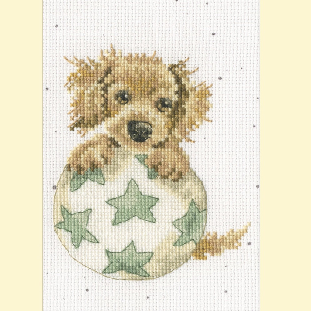 Greeting Card - Bouncing Birthday