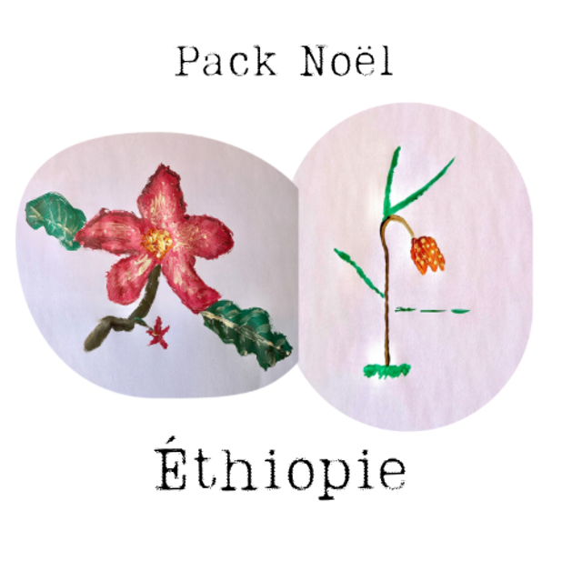 Pack Noël Éthiopie (1x250g Yirgacheffe, 1x125g Guji)