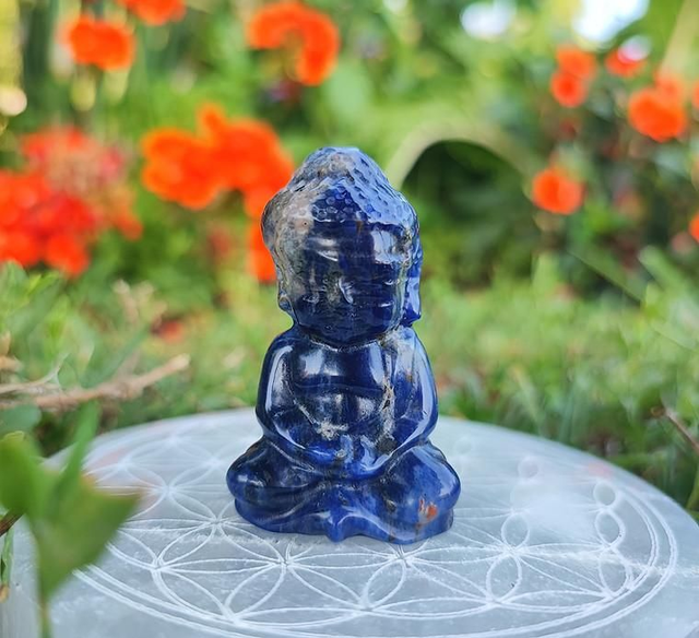 Bouddha Sodalite A