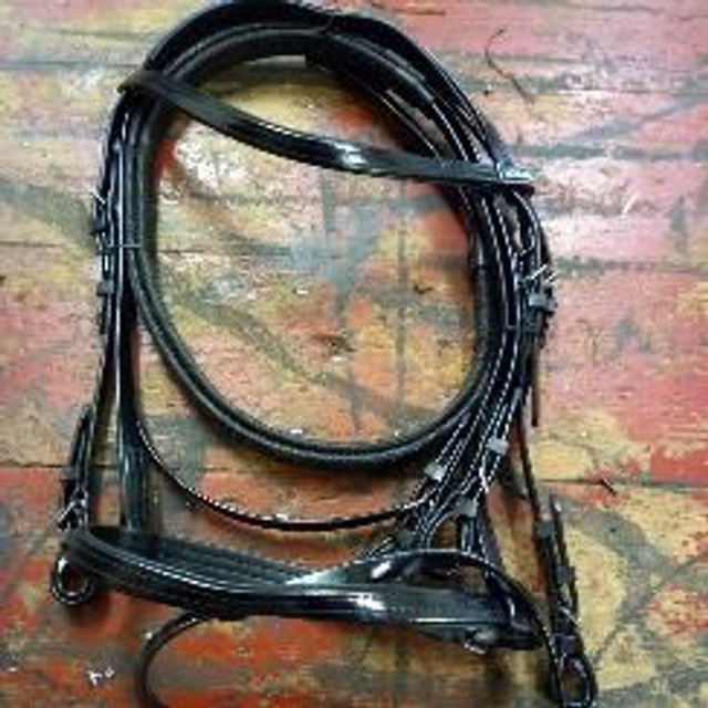 Plastic Race Exercise Bridle