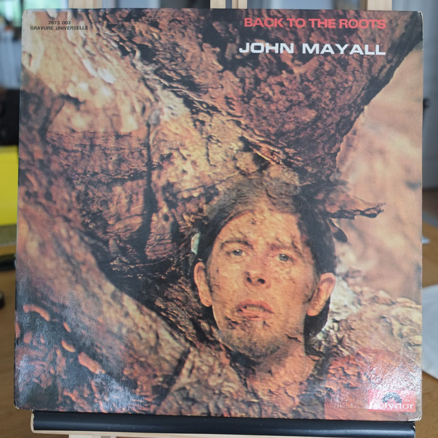 John Mayall - Back to the roots