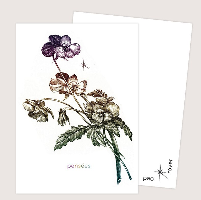 Carte Postale &quot;Pensées&quot;