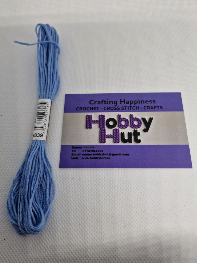 Embroidery Thread - 3839