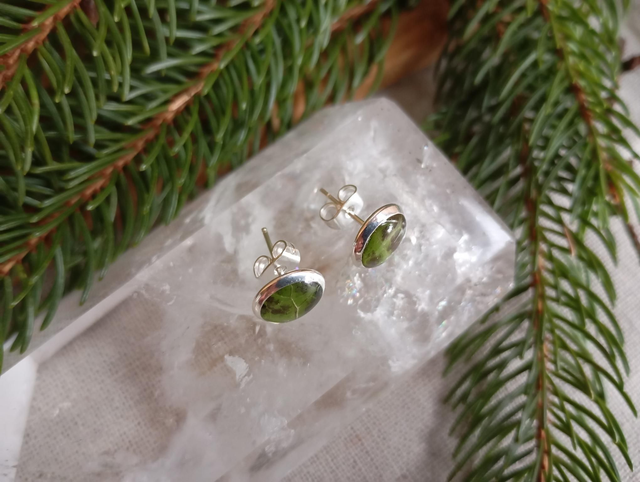 Clous d'oreilles - Lierre