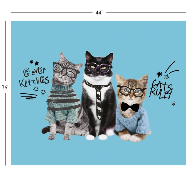 CHATS SAVANTS