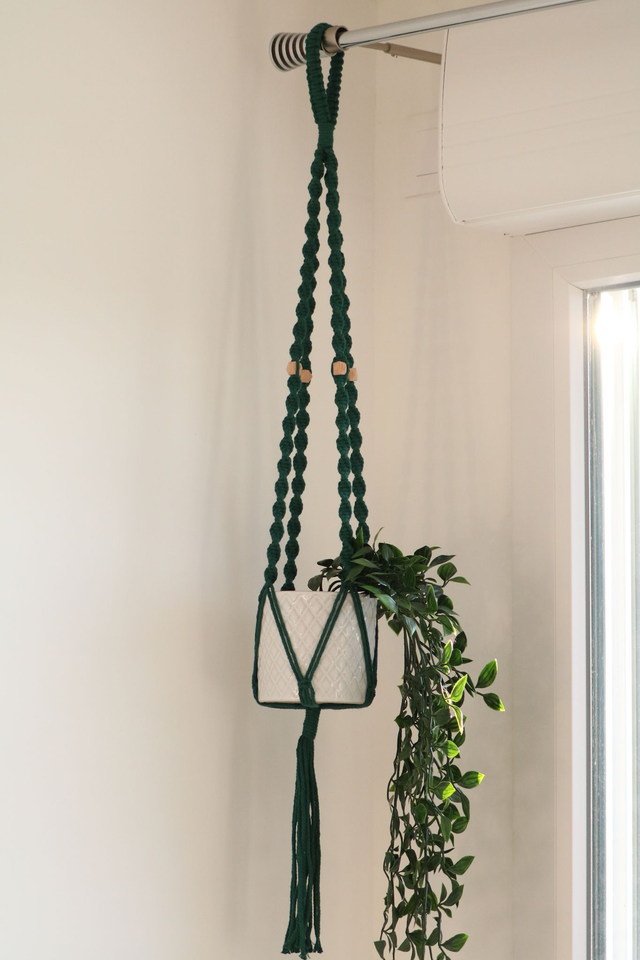 ESMEE ~ Suspension pour plante