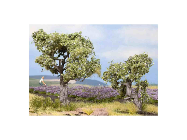 Oliviers 6-9cm Noch 21995