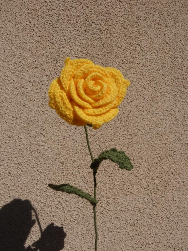 Grosse rose jaune 