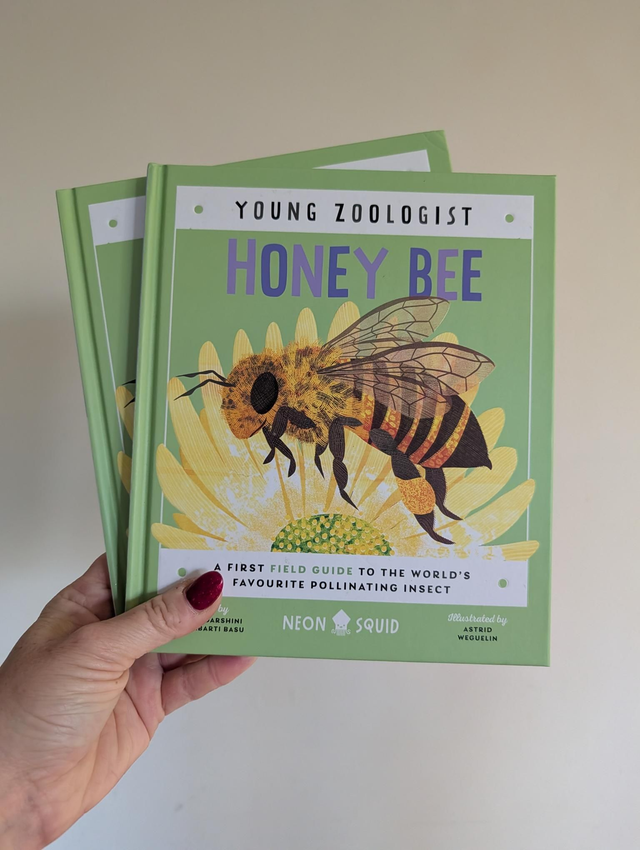 Honey bee childrens book 