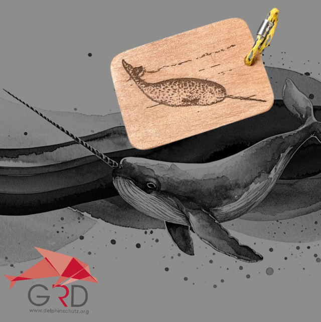 Schlüsselanhänger-Narrwal