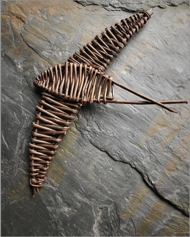 DB34 Swifts by Deb Bunker,  Willow