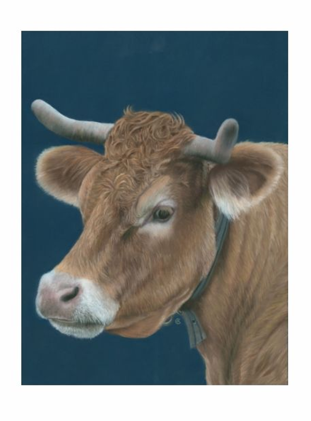 Print (small) 'ZUS' (Leemweg) 