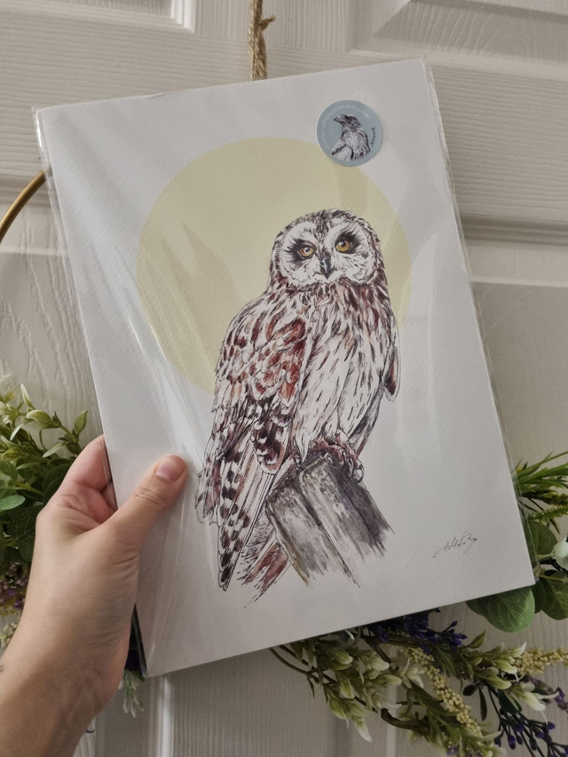 CLEARANCE - Old Paper Stock (textured) - "Short Eared Owl" - A4 size