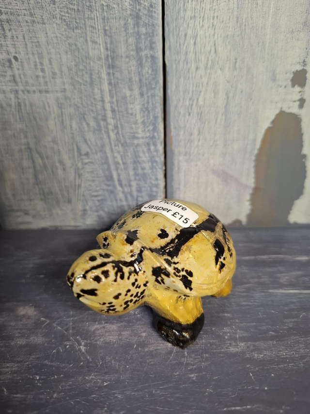 Picture Jasper Tortoise 