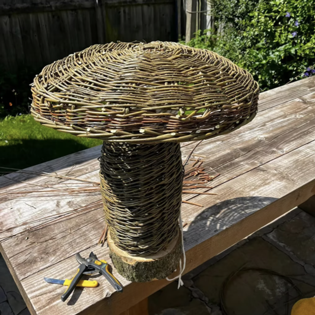 Mushroom Workshop Saturday 12th September 10 - 2pm