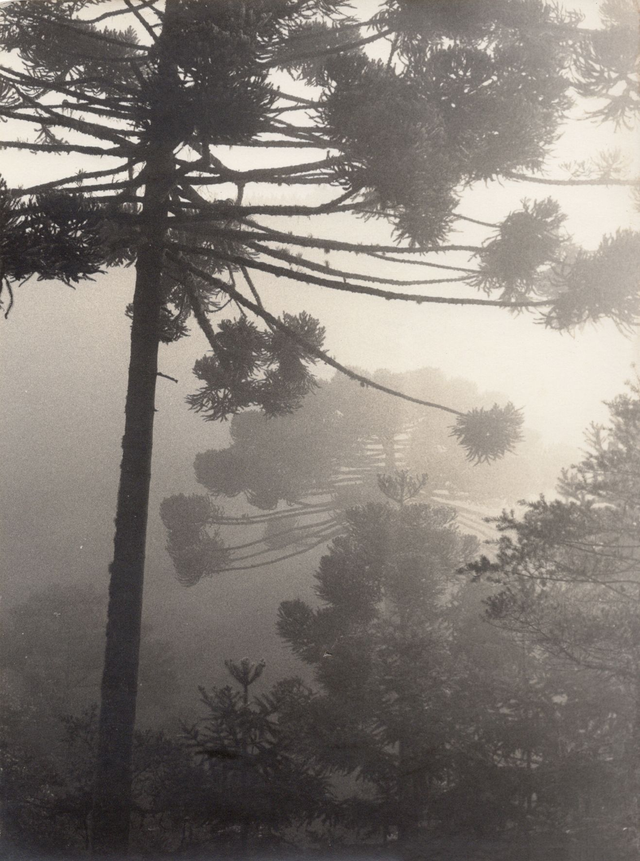 Paysage, Brésil, c.1970