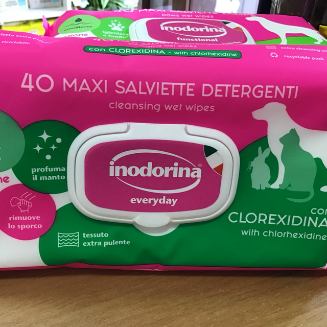 Inodorina 40 maxi salviette detergenti con clorexidina 8031398123097