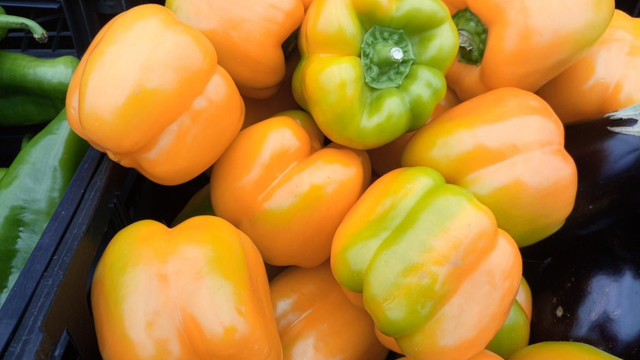 Pimiento California Amarillo