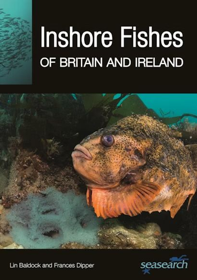 Seasearch Inshore Fishes of Britain and Ireland