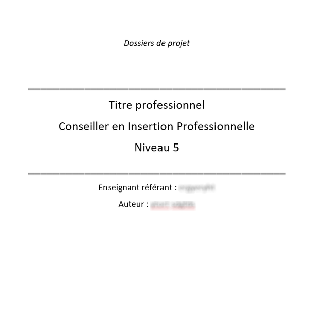 Dossier de projet CIP