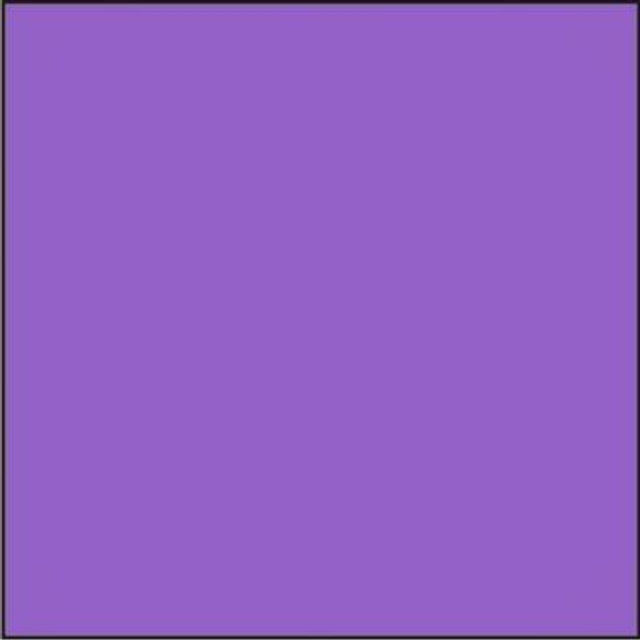 Viltlapje 180324  (Lesuh 20 cm x 30 cm)