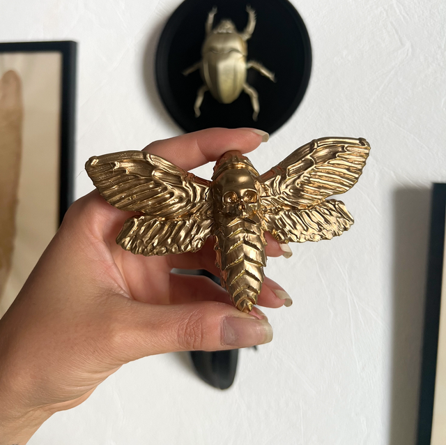 JUAN - Décoration murale papillon sphinx doré