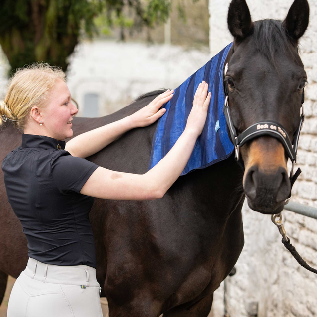 Serviette rafraîchissante BACK ON TRACK Cool on Track
