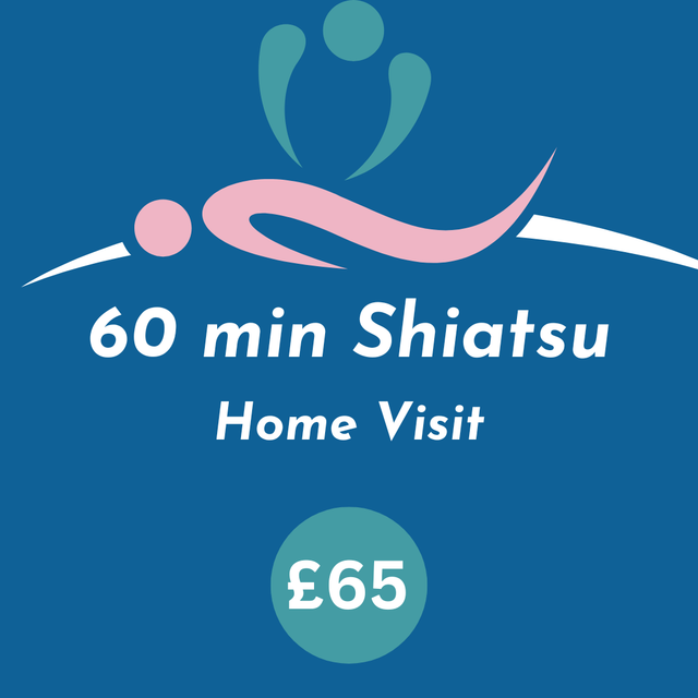 1 Home Visit Shiatsu 60 mins (10 miles of Trellech)