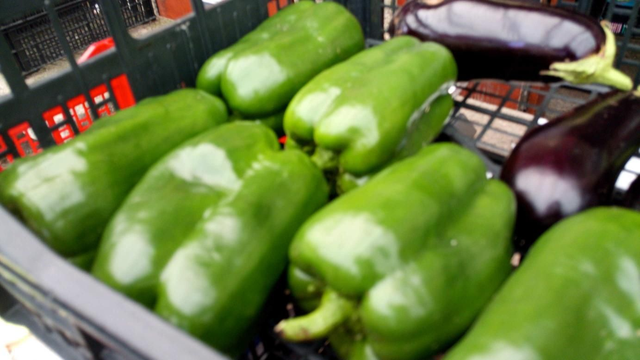 Pimiento Morrón (Galicia)