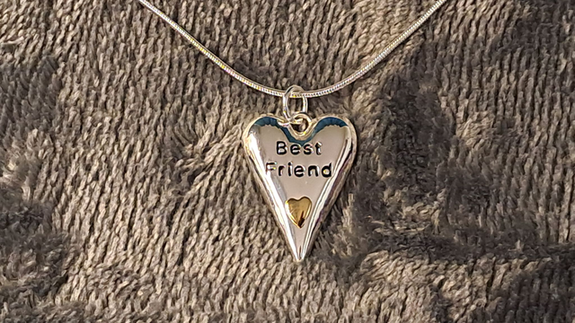 Silver Coloured Best Friend Heart Necklace