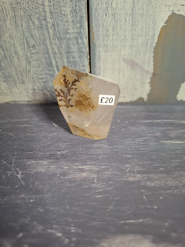 Dendritic Agate Free-form 