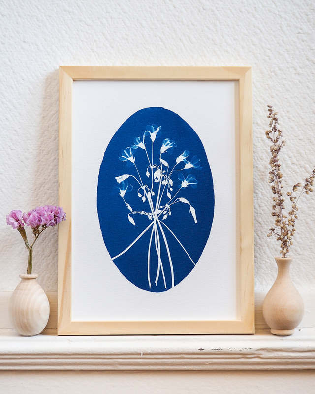 Oxalis Chétives (Ovale)