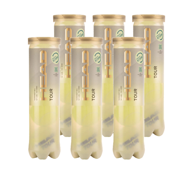 HEAD Tour 4er Dose Tennisbälle - 6 Dosen-Winteraktion