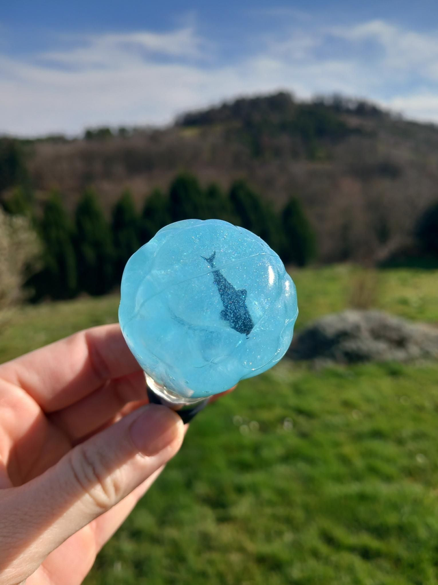 Bouchon de vin Shark (1)