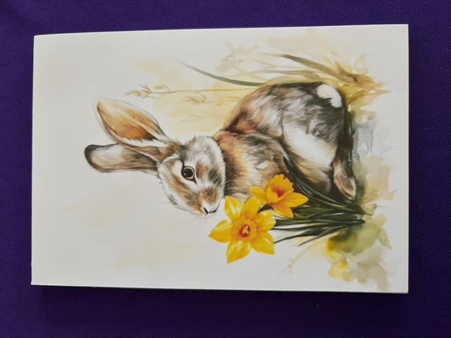 Plain Note Pad Rabbit with Daffodils 