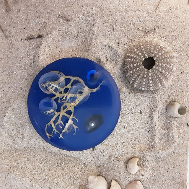 Broche ronde collection Maritime fond bleu Roy algue et cabochon et goutte d’eau