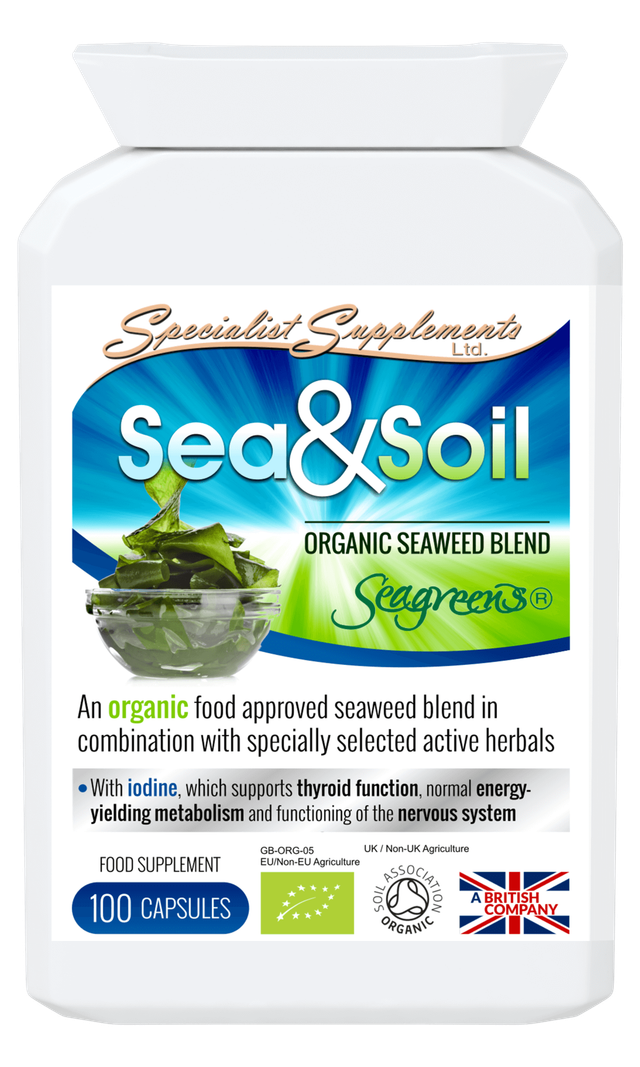 Sea & Soil