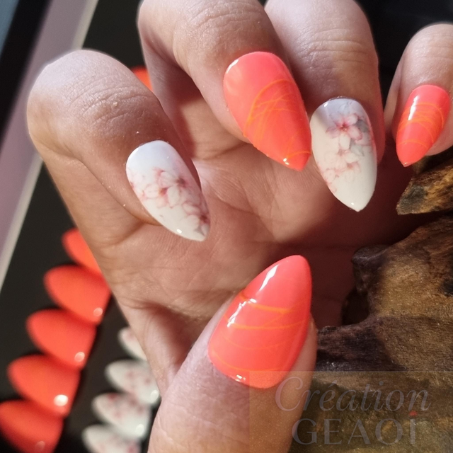 Corail Spider foil little Amande xs