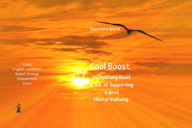 Cool Boost Wellbeing Blend