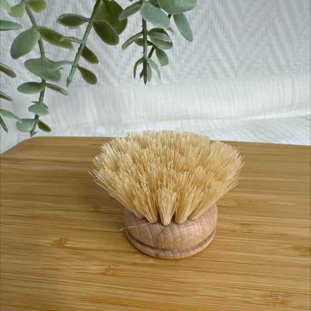 Tête de Brosse à Vaisselle